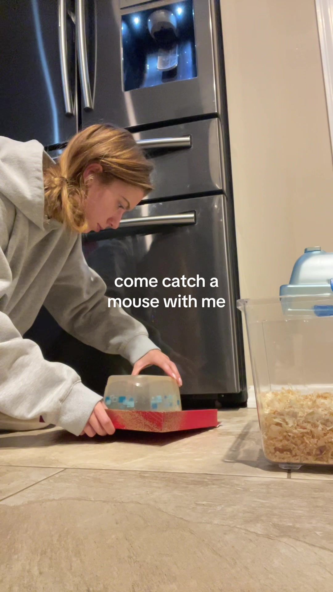 Pets video idea: pov