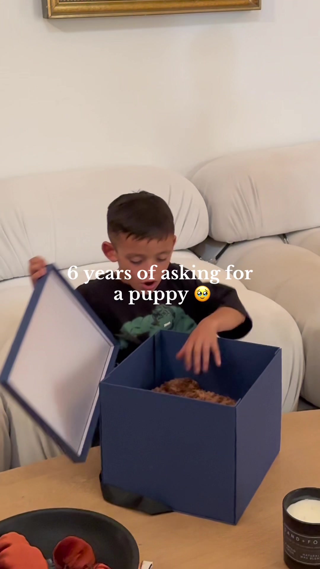 Pets video idea: b-roll montage