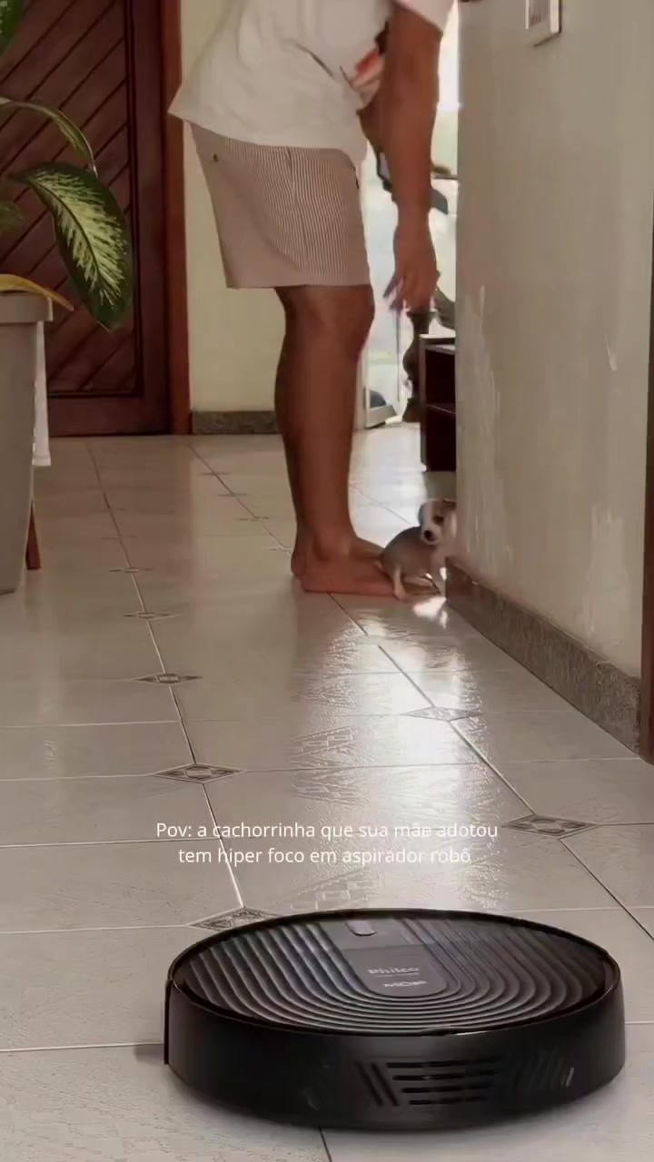 Pets video idea: pov