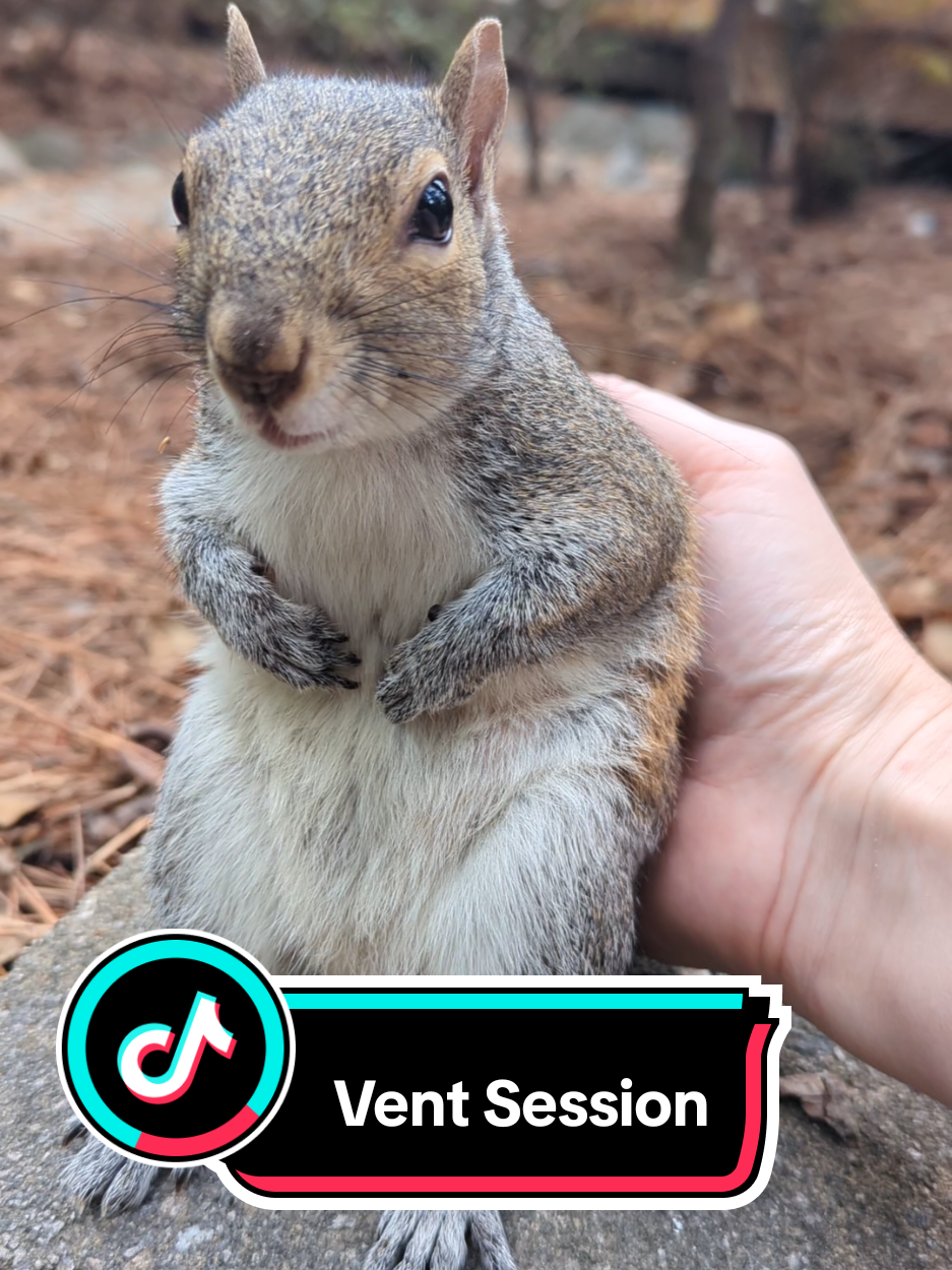 Pets video idea: pov