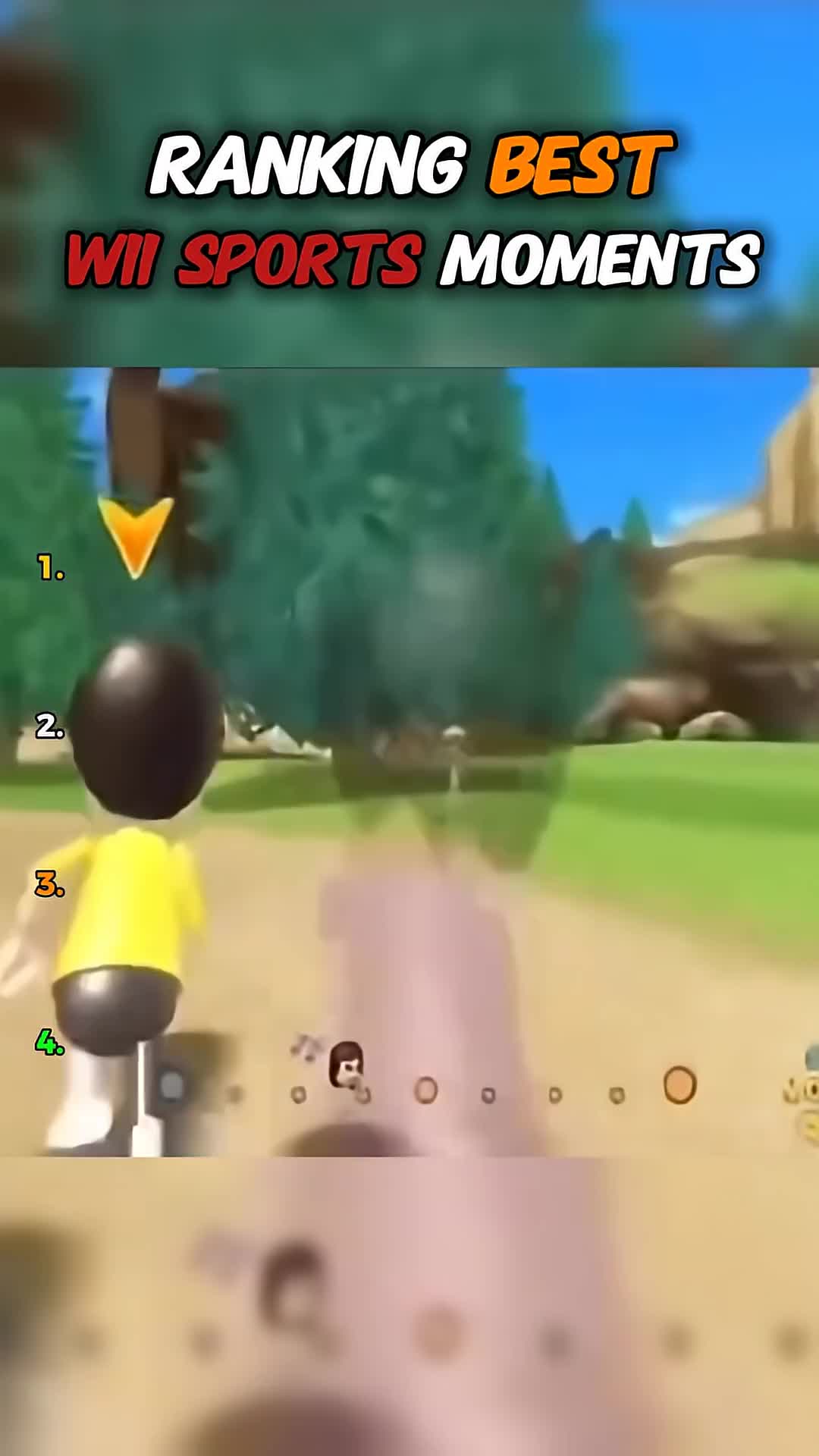 RANKING BEST WII SPORTS MOMENTS, 2. bro took it too seriously